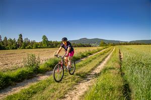 Krajina podstávek 1