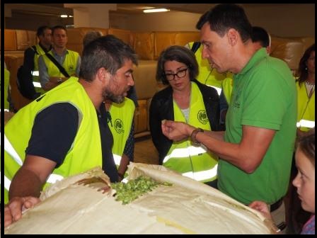 SIE - studijní cesta