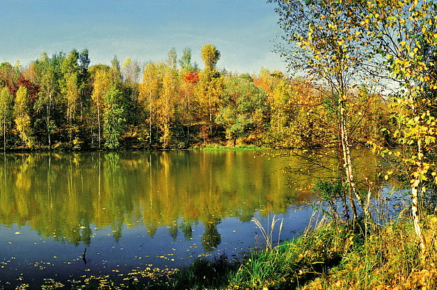 V roce 1995 vypadalo toto území takto.