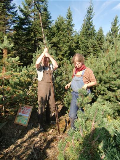 Odběr vzorku rašeliny v Paschwegmoor