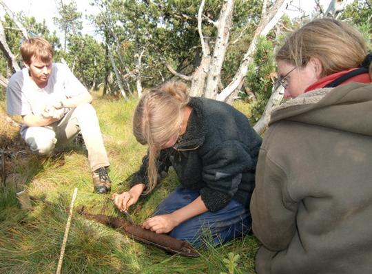 Rozbor vzorku rašeliny z NSG Kriegswiese