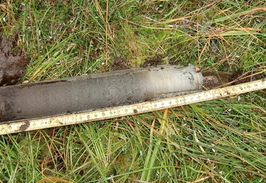 Vzorek rašeliny ze spodní části rašeliniště - hlína z NSG Kriegswiese