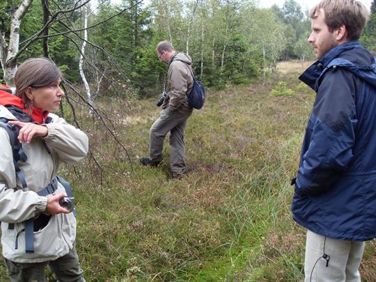 Diskuze při exkurzi v rašeliništi