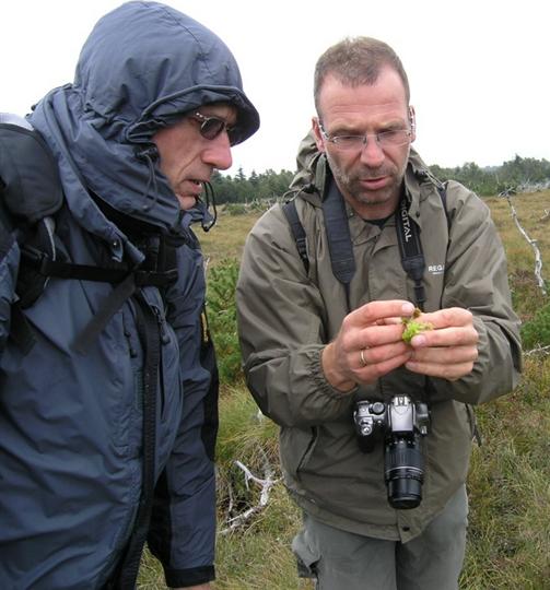 Diskuze při exkurzi v rašeliništi