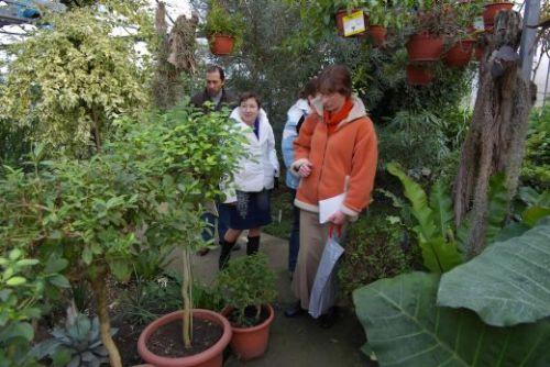 Konzultace a poradenství EC Meluzína