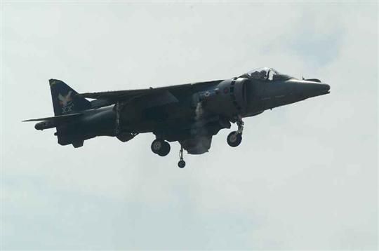Harrier