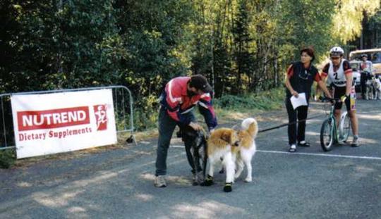 Koloběžky start ...