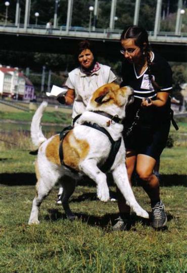 Před startem a start