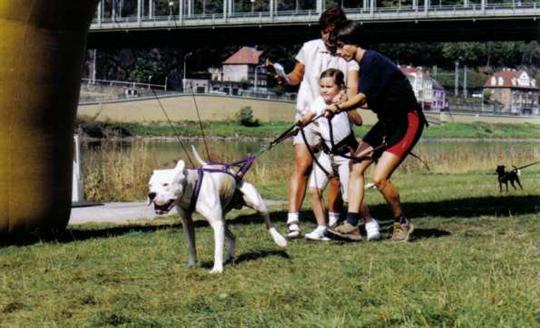 Před startem a start