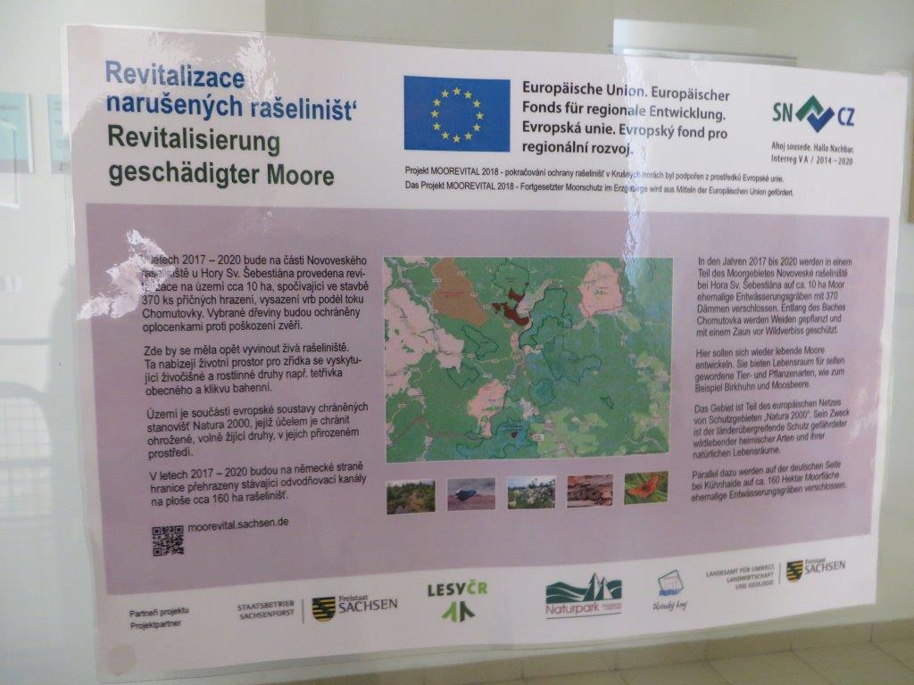 MOOREVITAL 2018 plakat