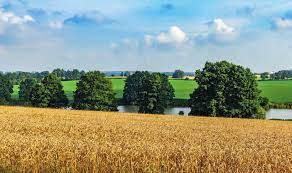 podporil_UK_logo_svisle_ZELENE_CMYK