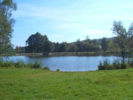 Ilustracni foto rybnik